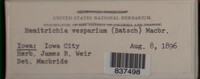Image Associated With the Occurence